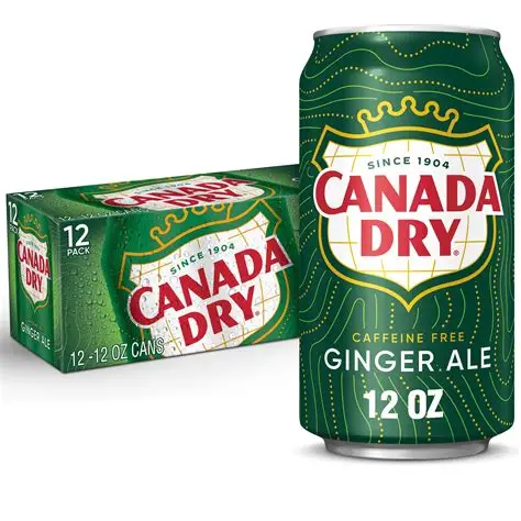 Canada Dry 12PK Ginger Ale