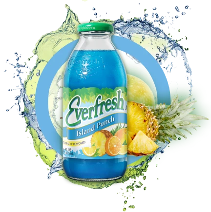 Everfresh Island Punch 16OZ