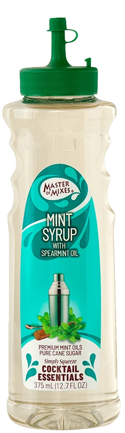 Master Mix Mint Syrup 375ML