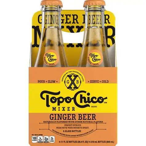 Topo Chico Ginger Beer 4PK / Sngl